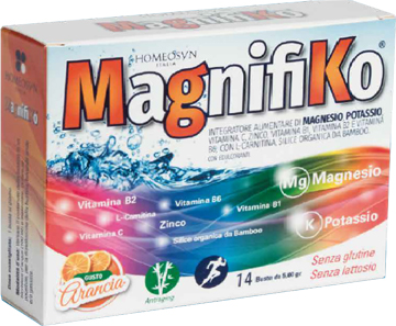 magnifiko 14bust