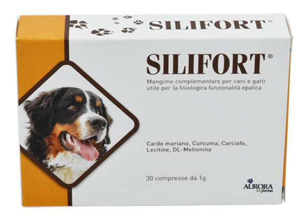 silifort 30cpr 1g