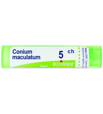 Conium Maculatum 5ch gr