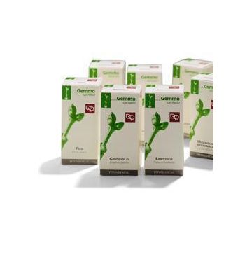 Fico Radichette Gtt 50ml mg