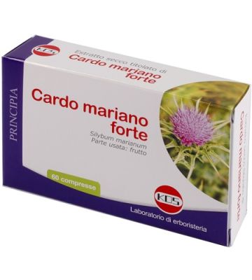 Cardo Mariano Forte 60cpr