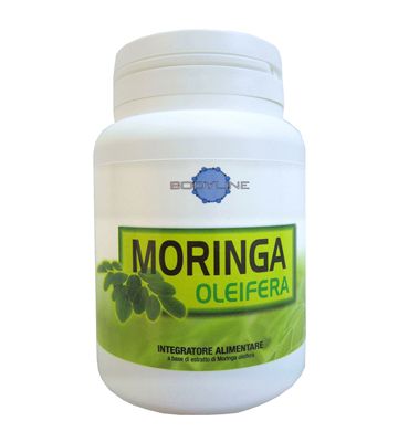 Moringa Oleifera 60cps