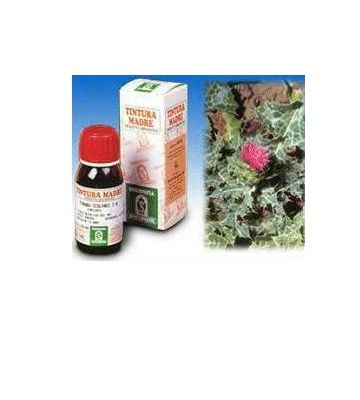 Cardo Mariano 6 50ml tm