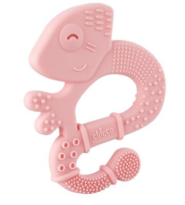 Ch Massaggia Dentar Girl 2m+