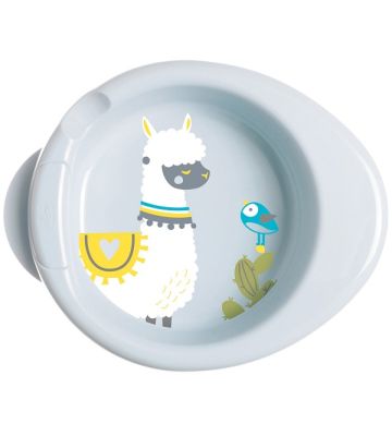 Ch Piatto Pappacalda 6m+ Verde