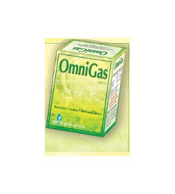 Omnigas Plus Gocce 20ml
