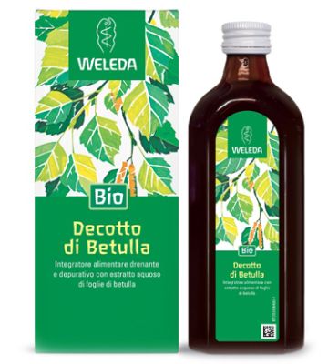 Decotto di Betulla 250ml