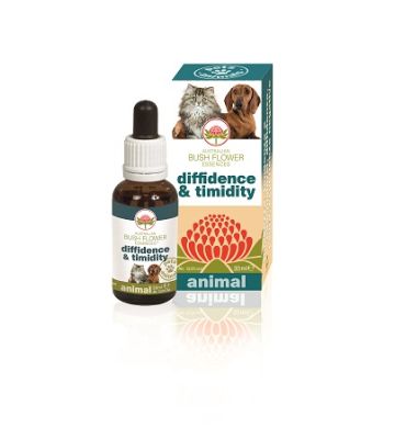 Diffidence & Timidity 30ml