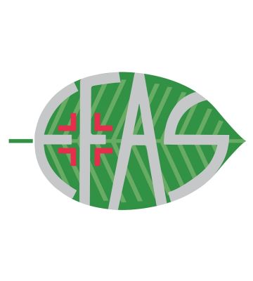 Ha100 Acido Ialuronico 100%