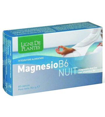 Magnesio b6 Nuit 60cps