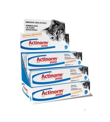 Actinorm Pasta Gatti 65g