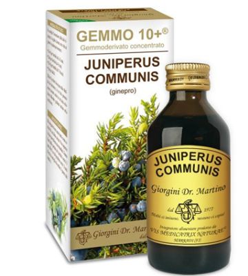 Ginepro 100ml Analco Gemmo 10+
