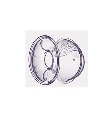 Avent Conchigl Raccoglilatte2p