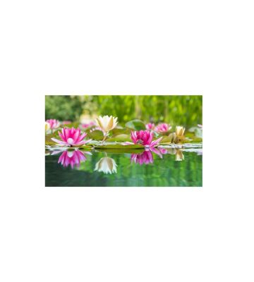 Essenza Bucato Ninphea 100ml