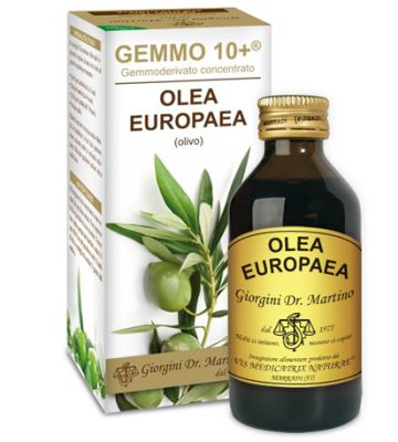 Olivo 100ml Analco Gemmo 10+