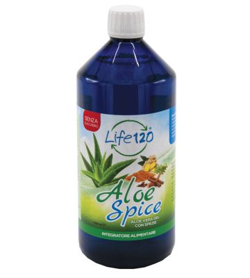 Aloe Spice 1000ml