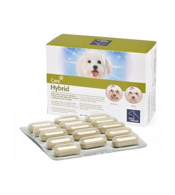 Hybrid Orme Nat 60cpr