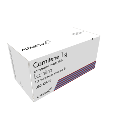Carnitene*10cpr Mast 1g