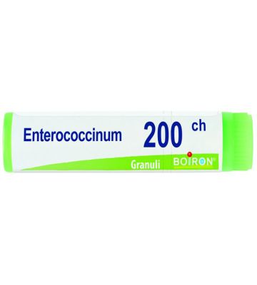 Enterococcinum 200ch gl