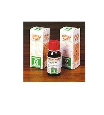 Artiglio del Diavolo 35 Tm50ml