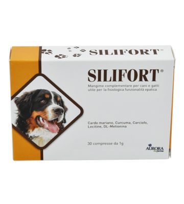 Silifort 30cpr 1g