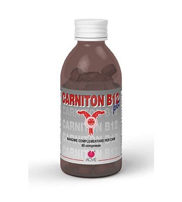 Carniton b 12 80cpr