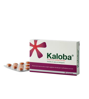 Kaloba*21cpr Riv