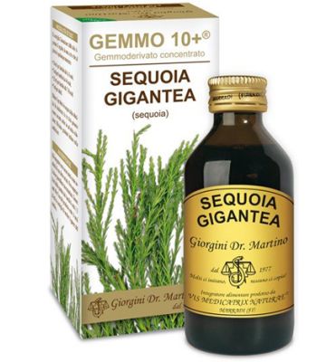 Sequoia 100ml Analco Gemmo 10+