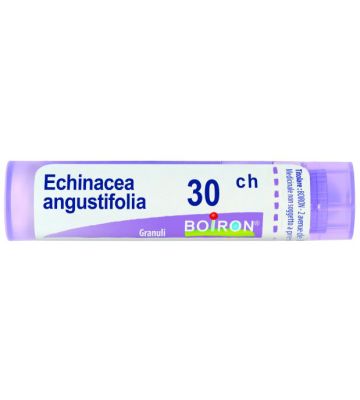 Echinacea Angust 30ch gr
