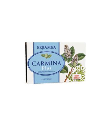 Carmina Plus 24cpr 19,2g
