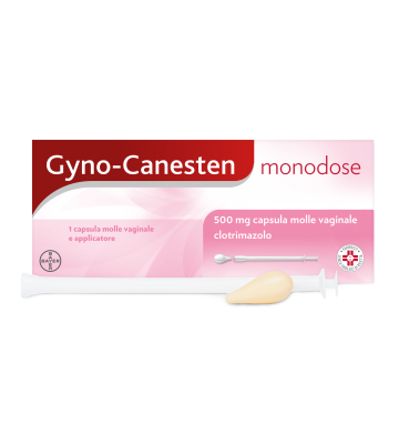 Gynocanesten Mono*1cpsvag500mg