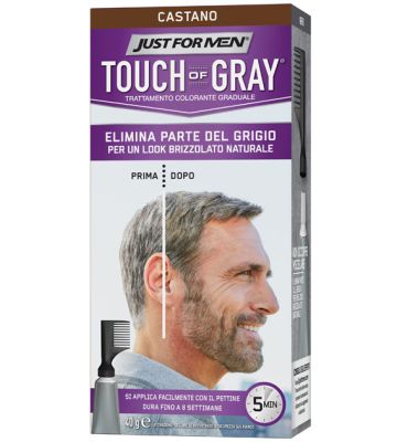 Just For Men Touch of Gray Cas