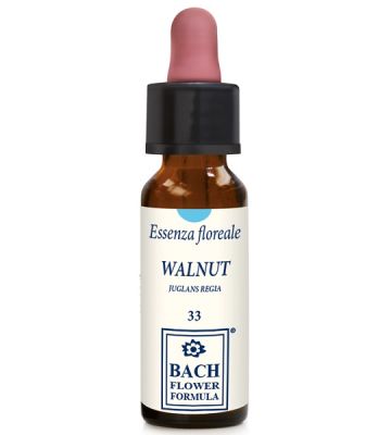 Walnut Original 10ml Gtt
