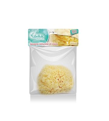 Libellule Spugna Nat Mare 8