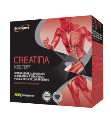 Creatina Vect20bust Etichsport