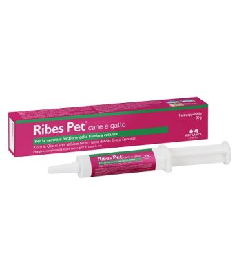 Ribes Pet Pasta 30g