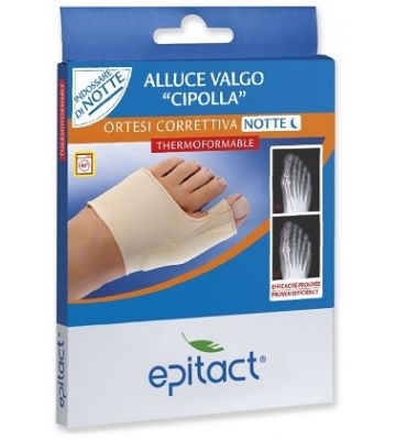 Epitact Ort Corr al Valg Ntt s