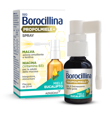 Neoborocillina Propolmiele Spr