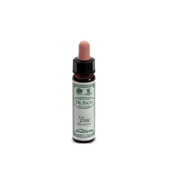 Ainsworths Pine 10ml