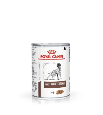 Vhn Wet Dog Gastrointestin400g