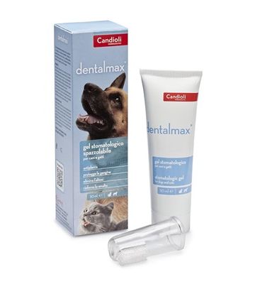 Dentalmax Gel Stomatologico 50
