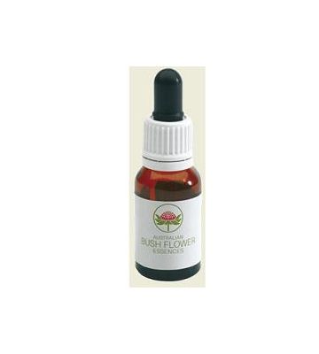 Waratah Australian Gtt 15ml