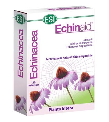 Esi Echinaid 30cps