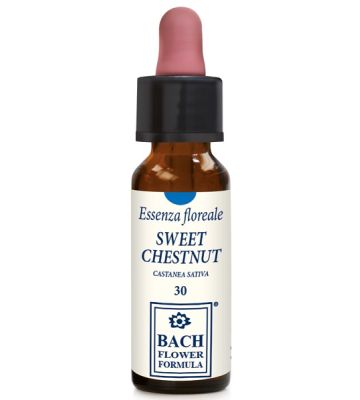 Sweet Chestnut Original 10ml