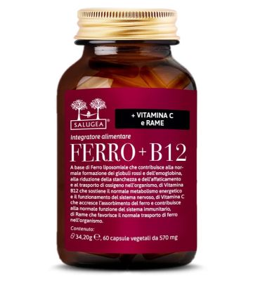 Ferro+b12 Salugea 60cps