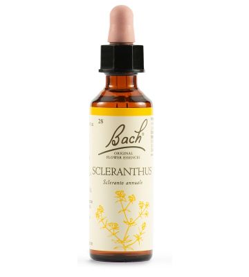 Sclerantus Bach Orig 20ml