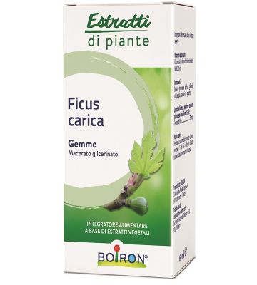 Ficus Car Estr Piante mg 60ml