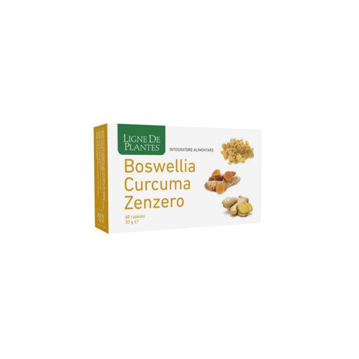Boswellia Curcuma Zenzero60cps