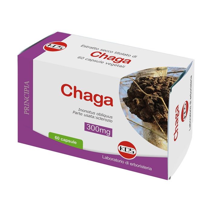 Chaga Estratto Secco Tit 60cps