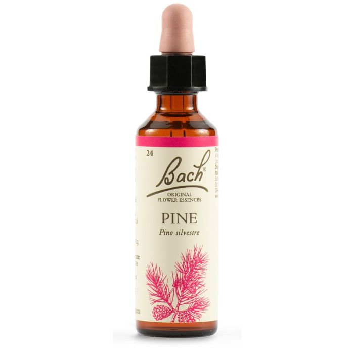 Pine Bach Orig 20ml